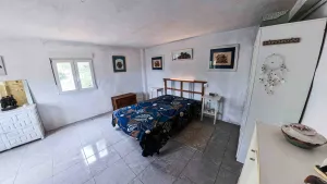 Imagen 14