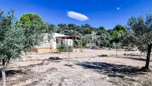 Finca Mola