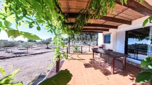 Finca Mola