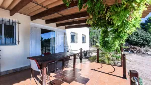Finca Mola
