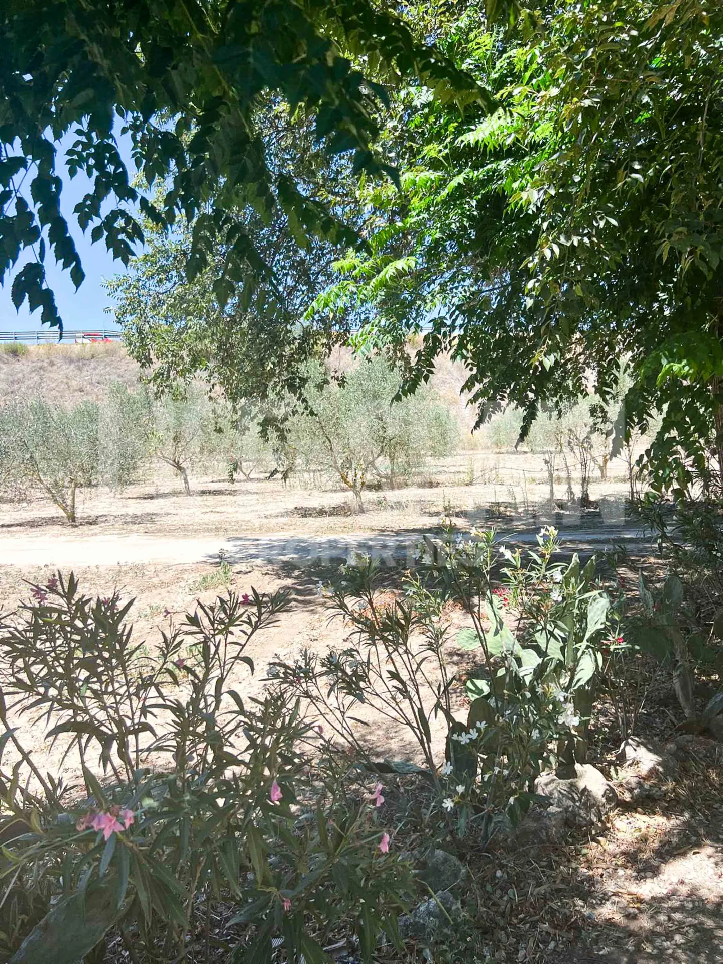 Image 25