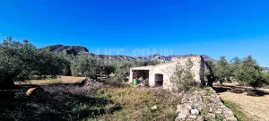 Finca Oro