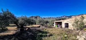Finca Oro