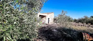 Imagen 9