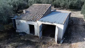 Finca de L´Oliver