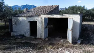 Finca de L´Oliver
