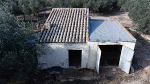 Finca de L´Oliver