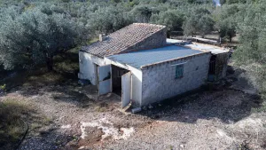 Finca de L´Oliver