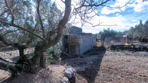Finca de L´Oliver