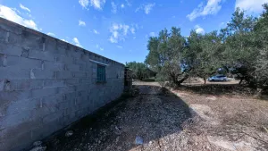 Finca de L´Oliver