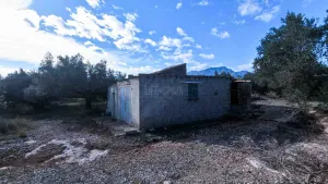 Finca de L´Oliver