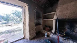 Imagen 11