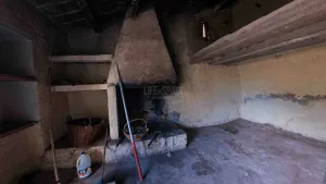 Imagen 12