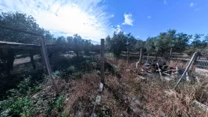 Imagen 20