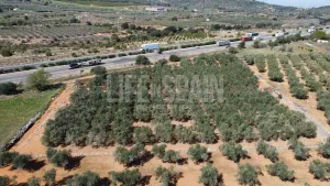 Terreno Vinyes