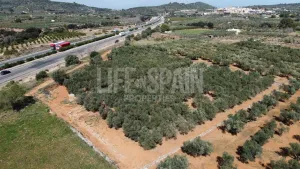 Terreno Vinyes
