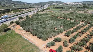 Terreno Vinyes