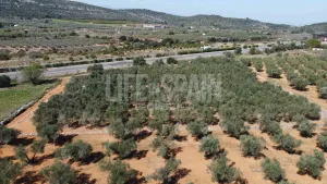 Terreno Vinyes