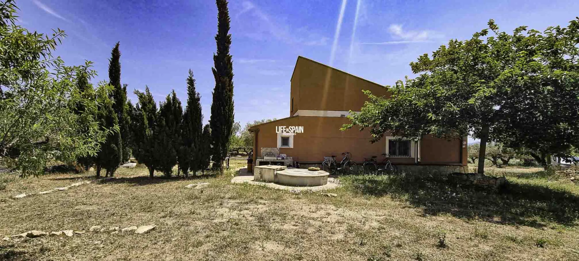 Image 38