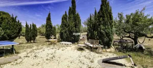 Imagen 79