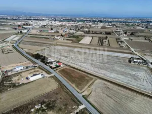 Imagen 5