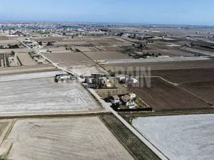Imagen 8