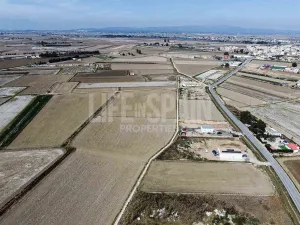 Imagen 9