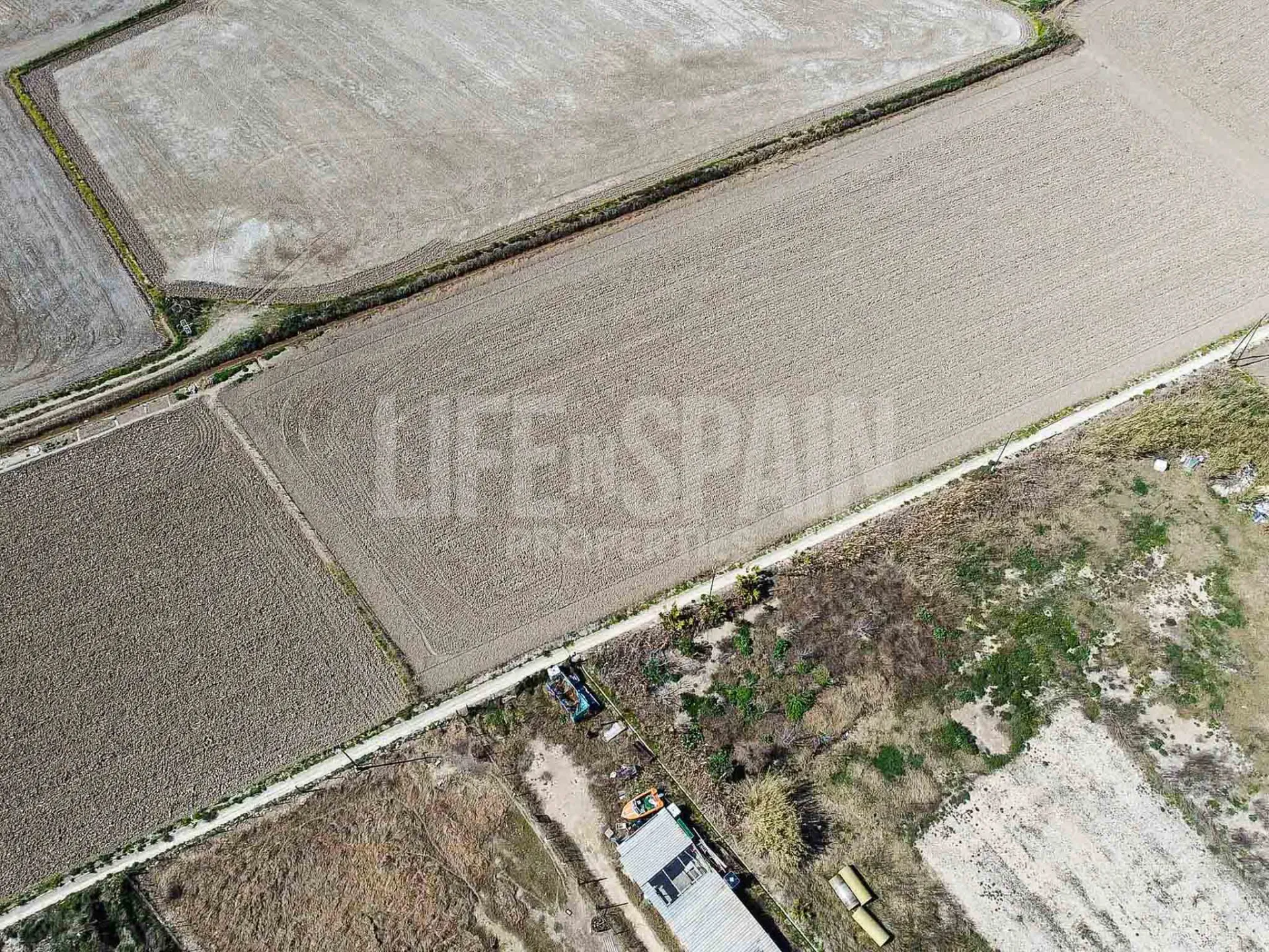 Image 10