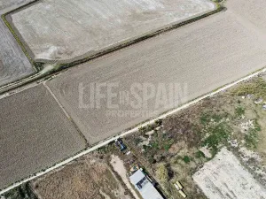 Imagen 10