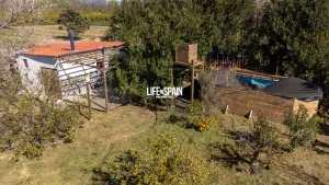 Imagen 41