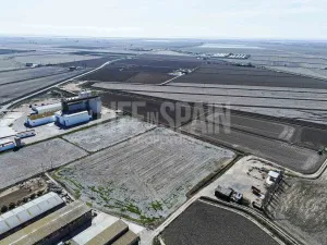 Imagen 12
