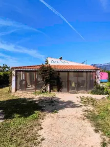 Xerta