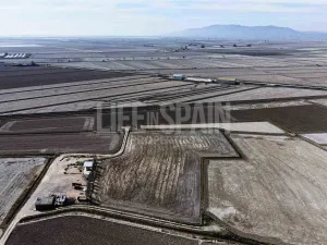 Imagen 14