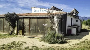 Imagen 28