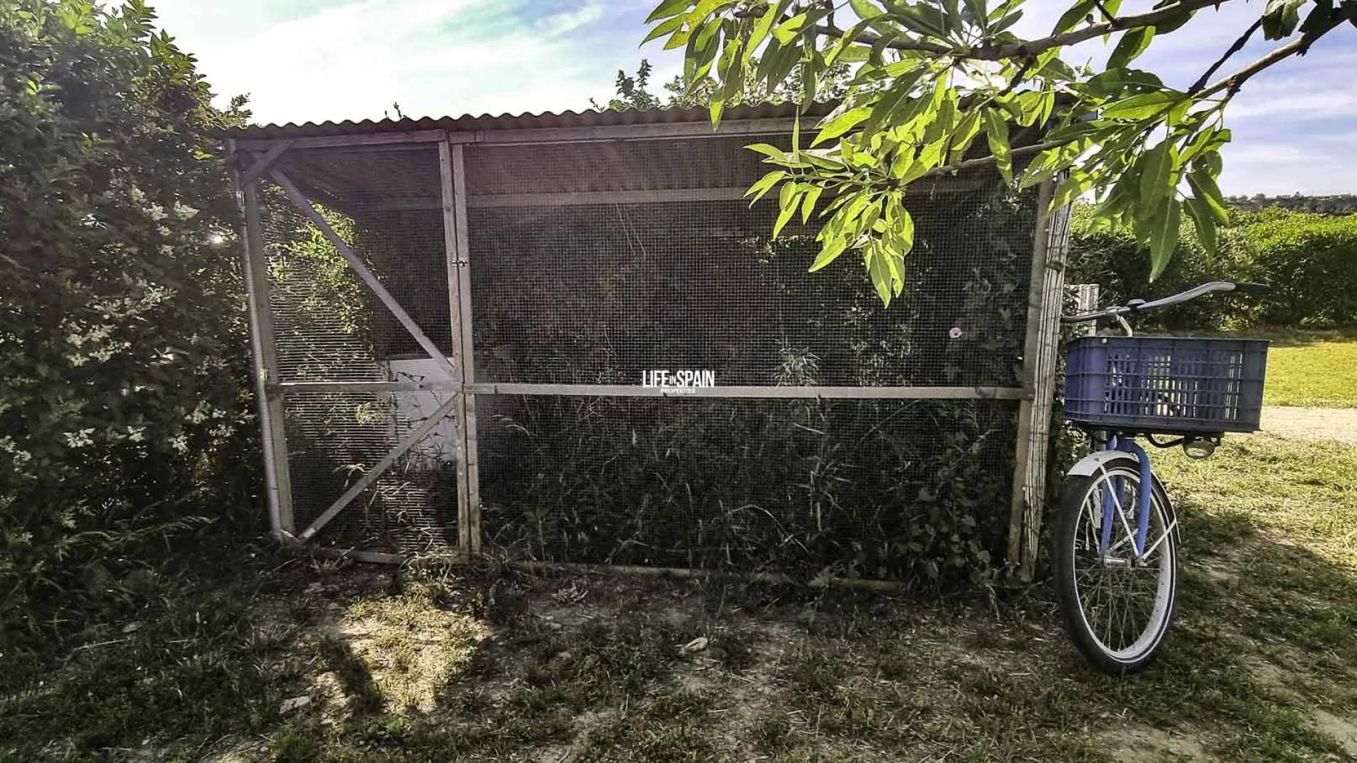 Image 50