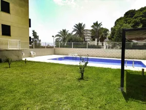 Imagen 19