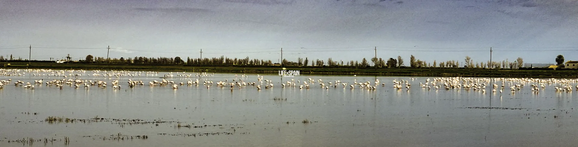 Image 32