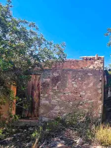 Xerta