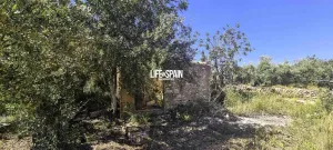 Finca Xerta