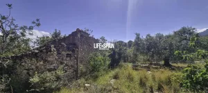 Finca Xerta