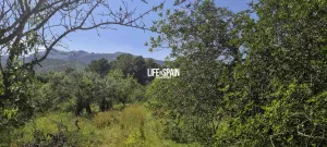 Finca Xerta