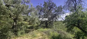 Finca Xerta