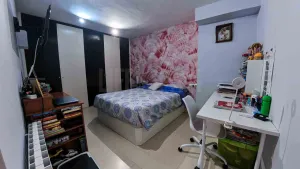 Imagen 10