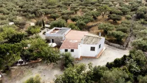 Casa Caro