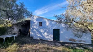 Finca Furone