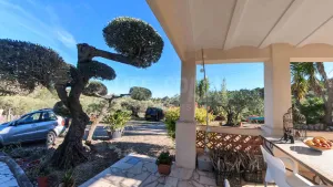 Finca Furone