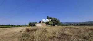 Finca Barbara