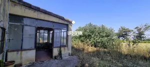 Finca Barbara