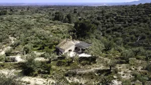Imagen 60