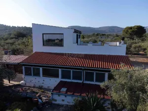 Finca Tad